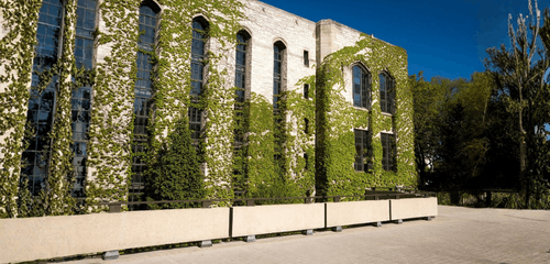 Northwestern Business