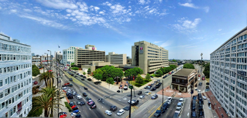 Temple University