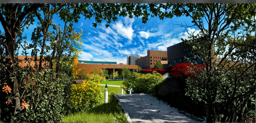 University at Buffalo